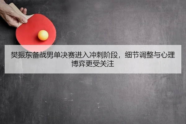 樊振东备战男单决赛进入冲刺阶段，细节调整与心理博弈更受关注